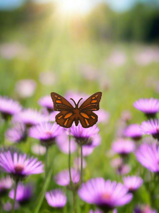 Butterfly Magnet