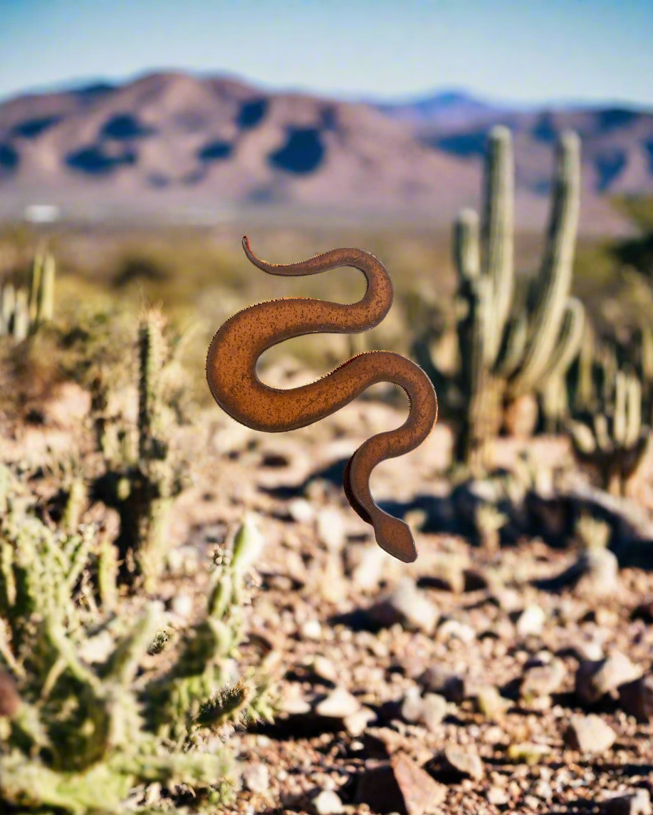 Snake Southwestern Desert Magnet