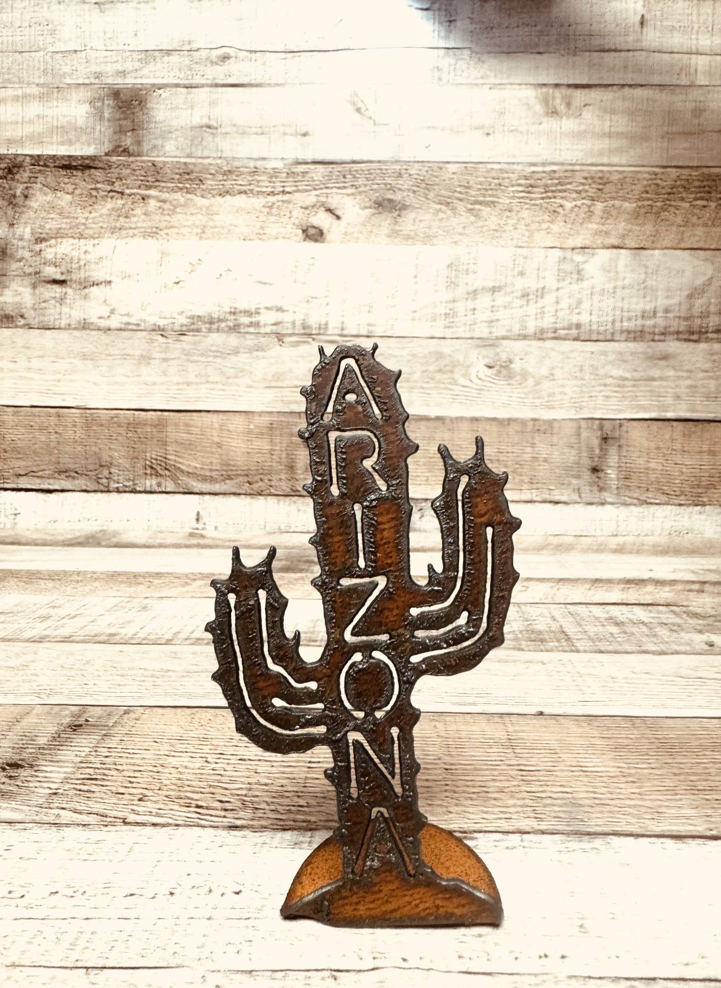 Emporium Cactus with ARIZONA Cut Out DOODAD Figurine