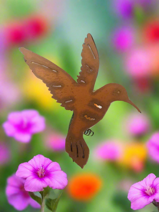 Hummingbird Magnet