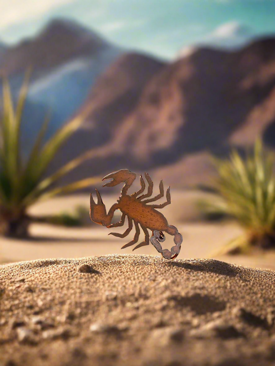 Scorpion Southwestern Desert Magnet