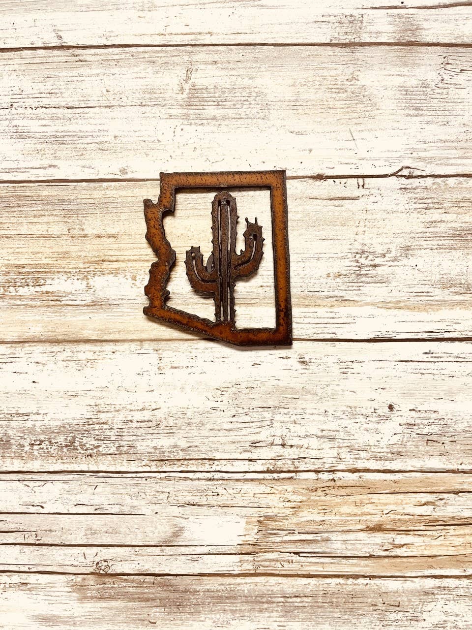 Arizona outline with Cactus Magnet