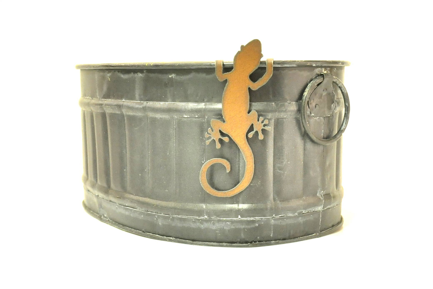 Lizard Garden Pot climber